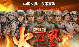 蜂鸟抱着天狼是哪集 特种兵之火凤凰简介