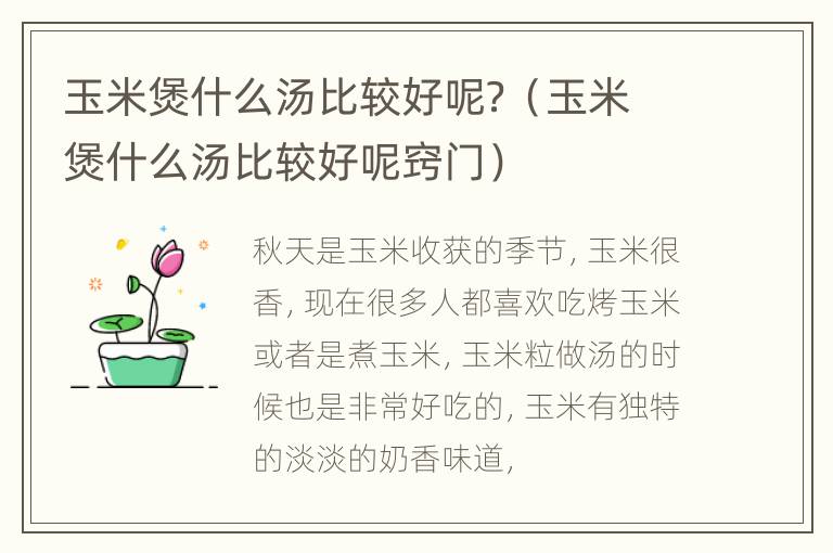 玉米煲什么汤比较好呢？（玉米煲什么汤比较好呢窍门）