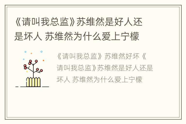 《请叫我总监》苏维然是好人还是坏人 苏维然为什么爱上宁檬