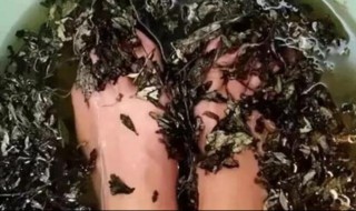 艾叶泡脚可以加冷水吗 艾叶泡脚可不可以加冷水