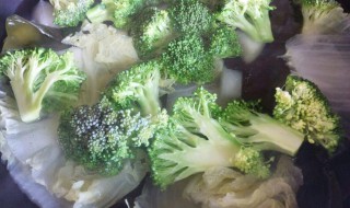 吃水煮菜能减肥吗 吃水煮菜能不能减肥