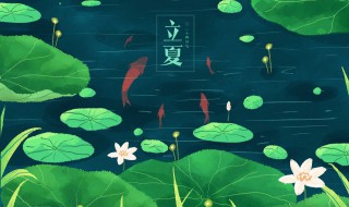 立夏的立表示什么意思 立夏的简介