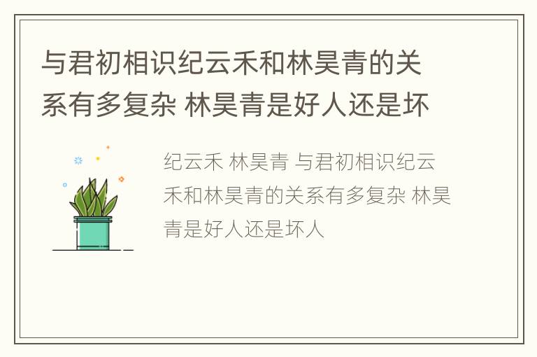 与君初相识纪云禾和林昊青的关系有多复杂 林昊青是好人还是坏人