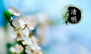清明节为什么不是阴历 清明节不是阴历原因