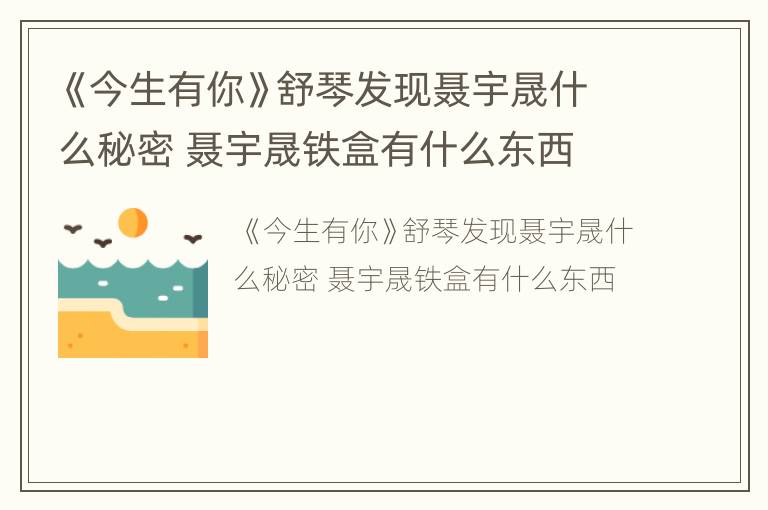 《今生有你》舒琴发现聂宇晟什么秘密 聂宇晟铁盒有什么东西