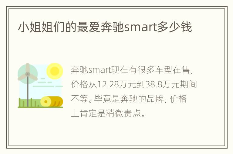 小姐姐们的最爱奔驰smart多少钱