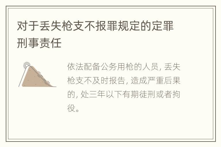 对于丢失枪支不报罪规定的定罪刑事责任