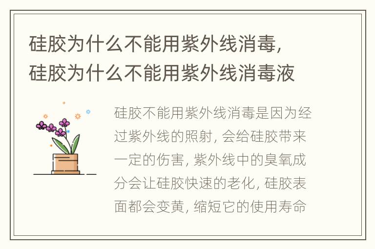 硅胶为什么不能用紫外线消毒，硅胶为什么不能用紫外线消毒液