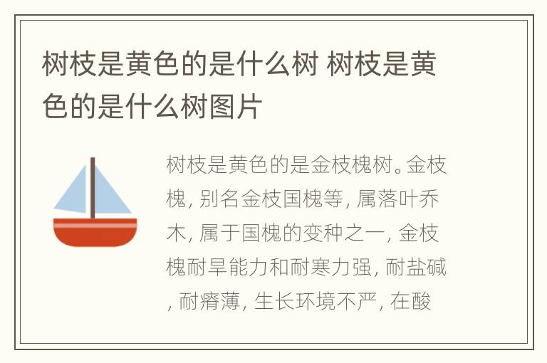 树枝是黄色的是什么树 树枝是黄色的是什么树图片