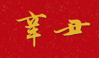 辛丑年是哪一年 辛丑年概述