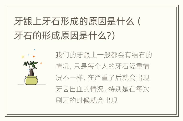 牙龈上牙石形成的原因是什么（牙石的形成原因是什么?）