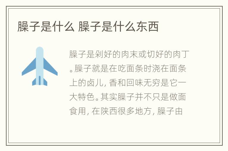 臊子是什么 臊子是什么东西