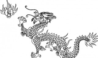 四海一家同片地打一肖 四海一家同片地是什么生肖