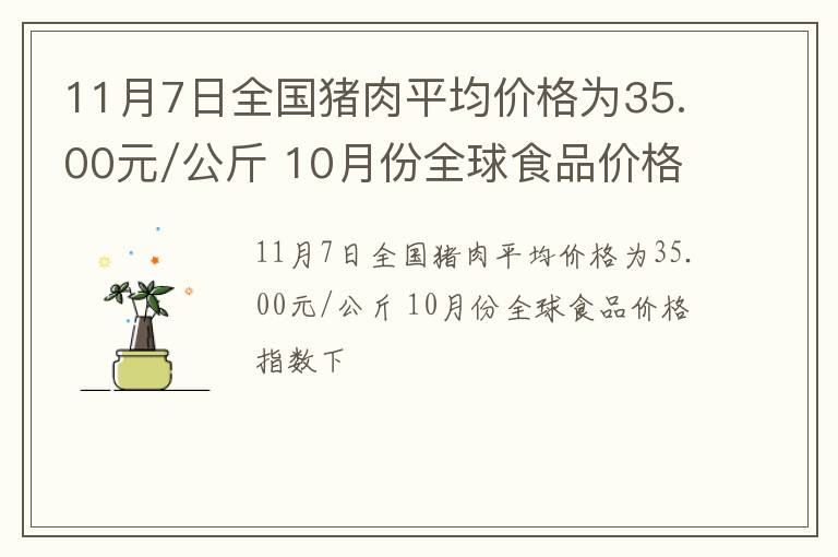 11月7日全国猪肉平均价格为35.00元/公斤 10月份全球食品价格指数下
