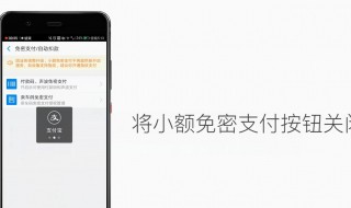 支付宝小额免密支付关闭方法 支付宝小额免密支付怎么关闭