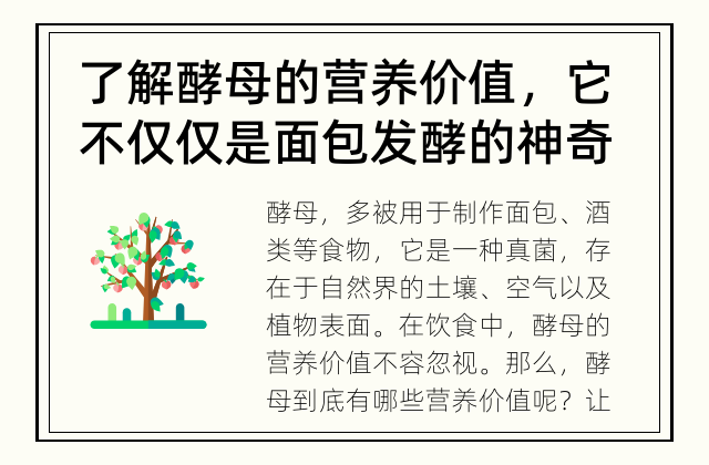 了解酵母的营养价值，它不仅仅是面包发酵的神奇物质 酵母的营养价值究竟有哪些呢？