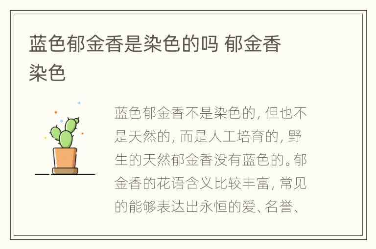蓝色郁金香是染色的吗 郁金香 染色