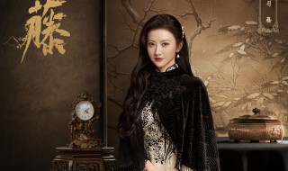 司藤原著小说是什么 司藤的简介