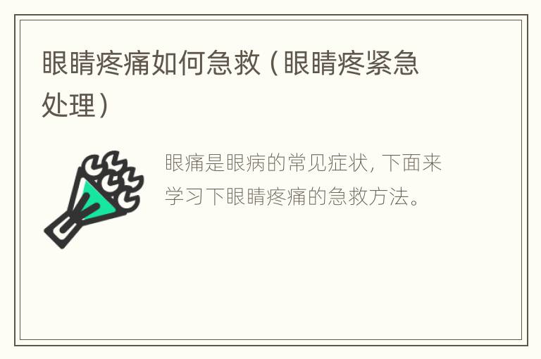 眼睛疼痛如何急救（眼睛疼紧急处理）