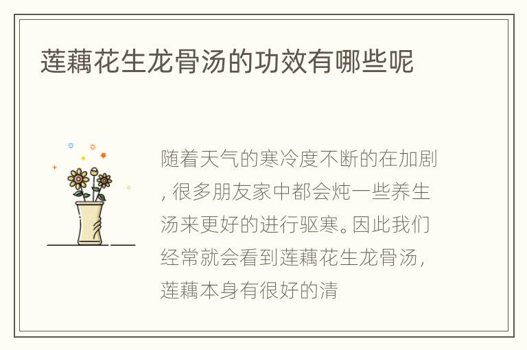 莲藕花生龙骨汤的功效有哪些呢