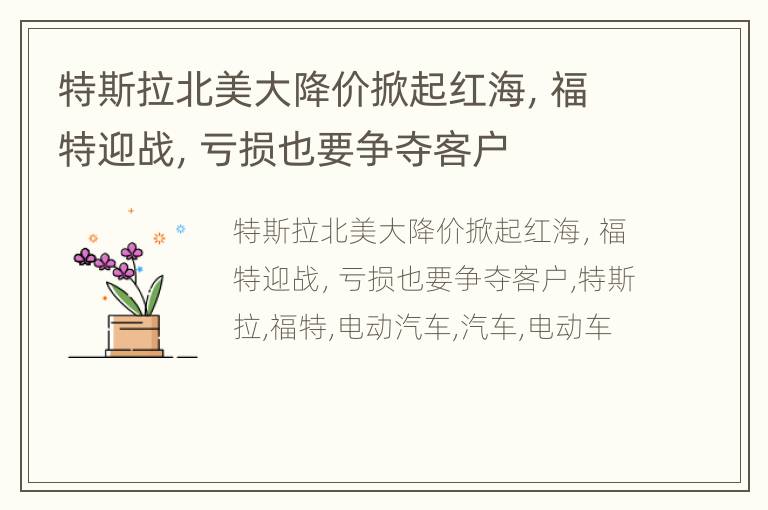 特斯拉北美大降价掀起红海，福特迎战，亏损也要争夺客户