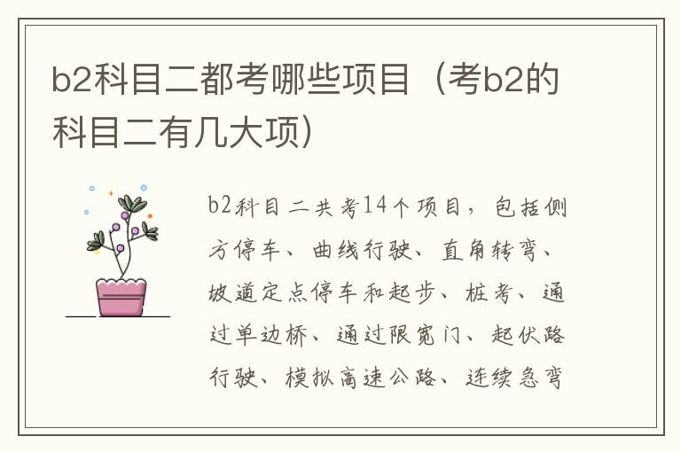 b2科目二都考哪些项目（考b2的科目二有几大项）