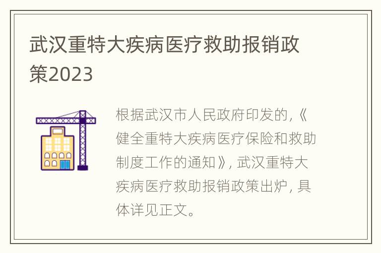 武汉重特大疾病医疗救助报销政策2023