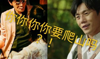 和你一起去爬山是什么梗 和你一起去爬山是何意思