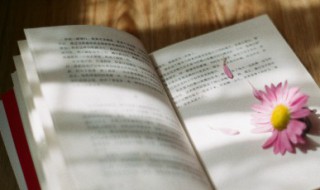 五月唯美句子大全 关于五月的可爱文案短句