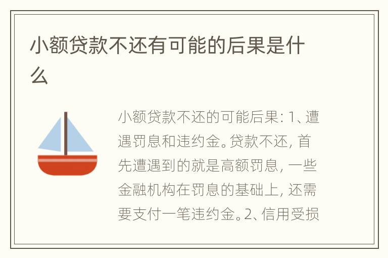 小额贷款不还有可能的后果是什么