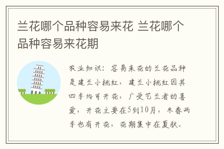 兰花哪个品种容易来花 兰花哪个品种容易来花期