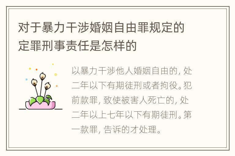 对于暴力干涉婚姻自由罪规定的定罪刑事责任是怎样的