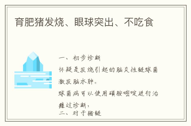 育肥猪发烧、眼球突出、不吃食