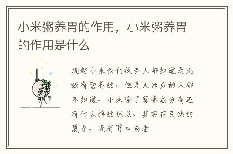 小米粥养胃的作用，小米粥养胃的作用是什么