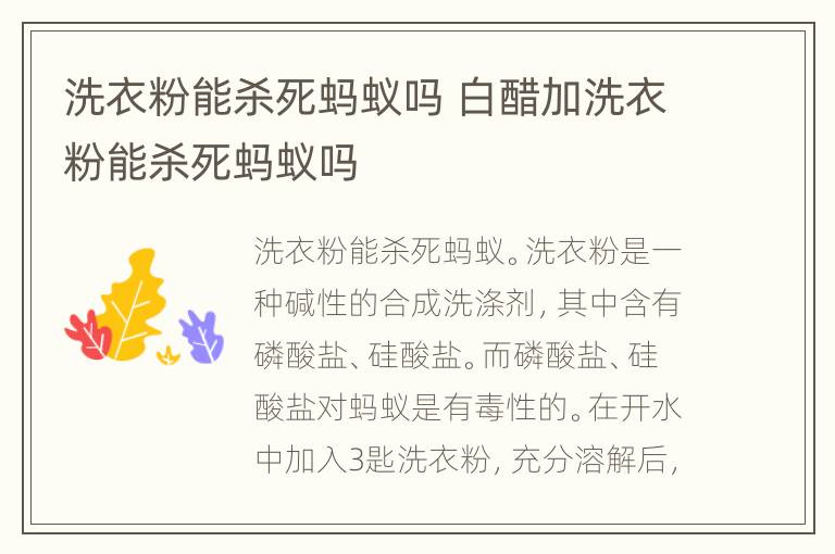 洗衣粉能杀死蚂蚁吗 白醋加洗衣粉能杀死蚂蚁吗