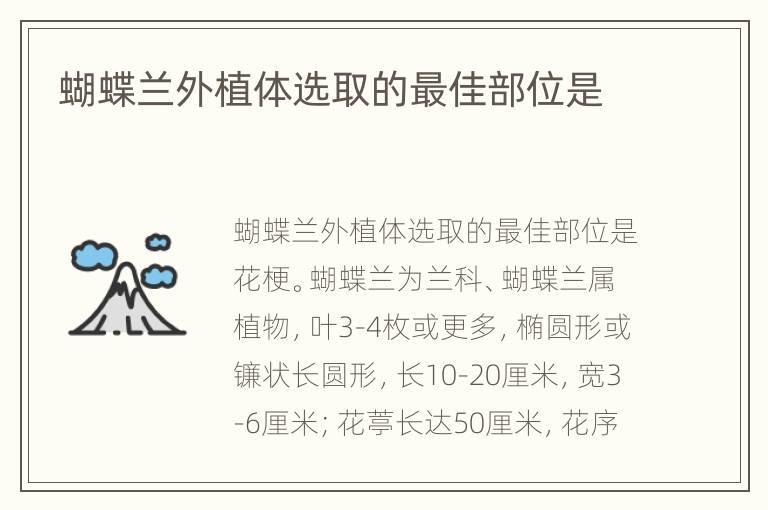 蝴蝶兰外植体选取的最佳部位是