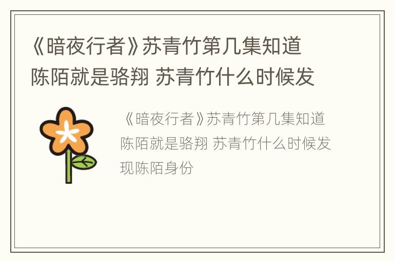 《暗夜行者》苏青竹第几集知道陈陌就是骆翔 苏青竹什么时候发现陈陌身份