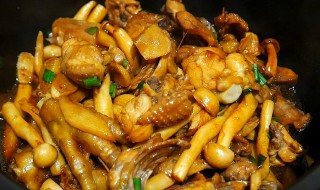 菌菇鸡做法步骤 怎样做菌菇鸡