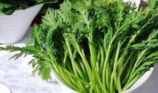 茼蒿是发物么 茼蒿是不是发物