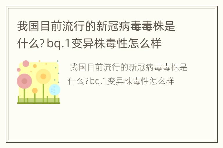 我国目前流行的新冠病毒毒株是什么？bq.1变异株毒性怎么样