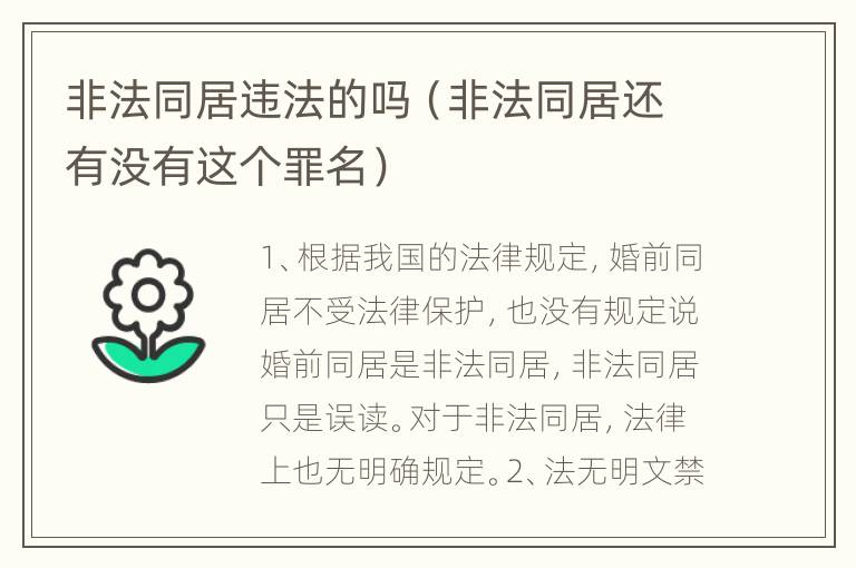 非法同居违法的吗（非法同居还有没有这个罪名）