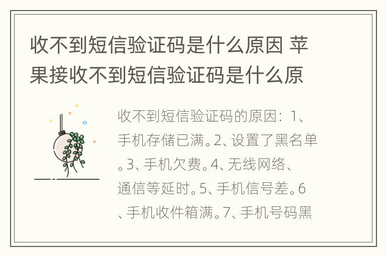收不到短信验证码是什么原因 苹果接收不到短信验证码是什么原因