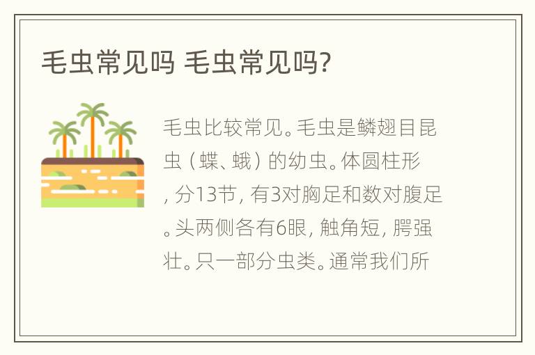毛虫常见吗 毛虫常见吗?