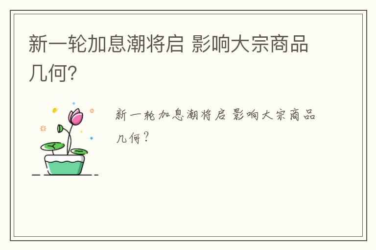 新一轮加息潮将启 影响大宗商品几何？