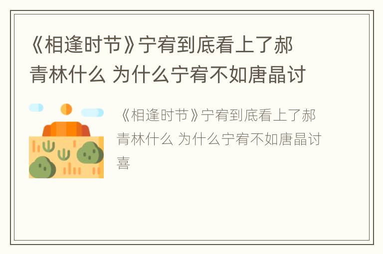 《相逢时节》宁宥到底看上了郝青林什么 为什么宁宥不如唐晶讨喜