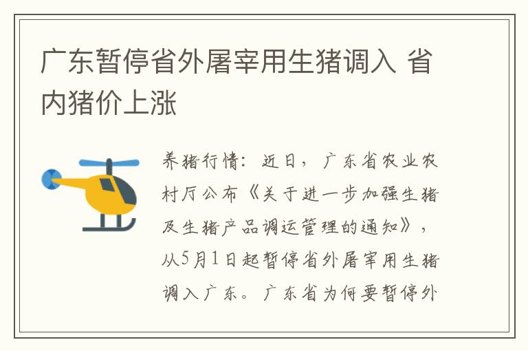 广东暂停省外屠宰用生猪调入 省内猪价上涨