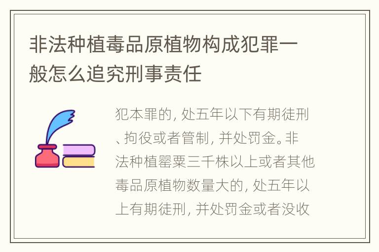 非法种植毒品原植物构成犯罪一般怎么追究刑事责任