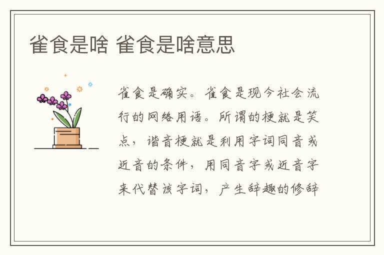 雀食是啥 雀食是啥意思