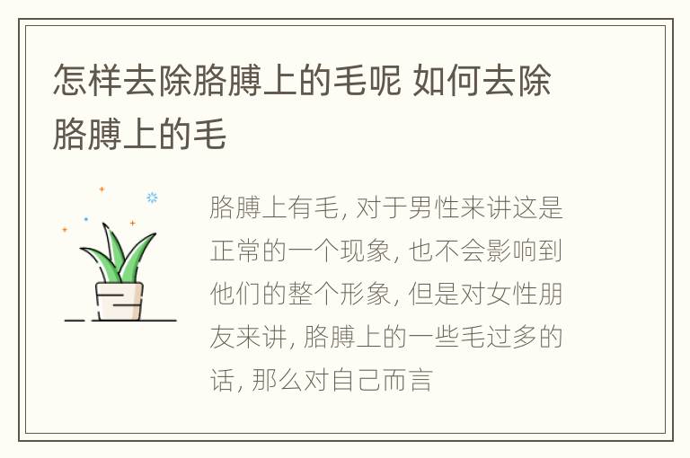 怎样去除胳膊上的毛呢 如何去除胳膊上的毛