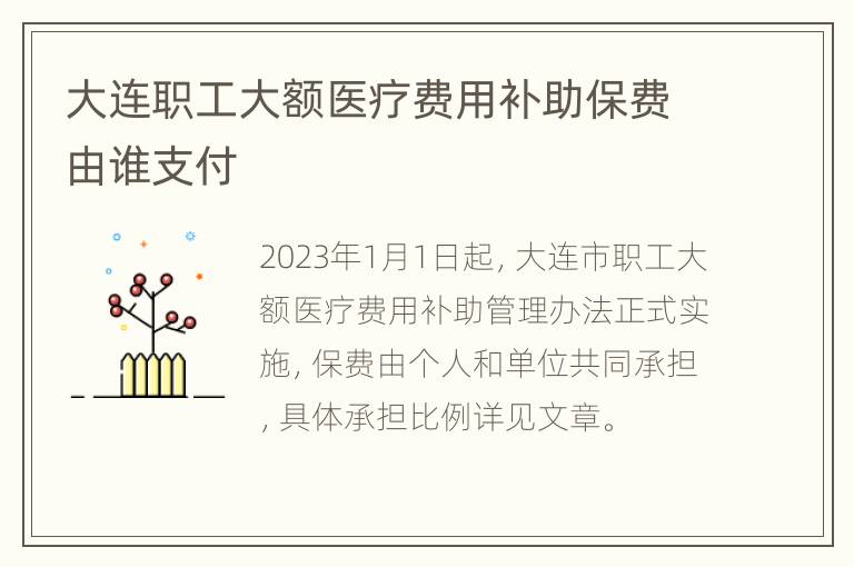 大连职工大额医疗费用补助保费由谁支付